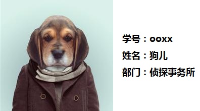 名侦探狗儿.jpg